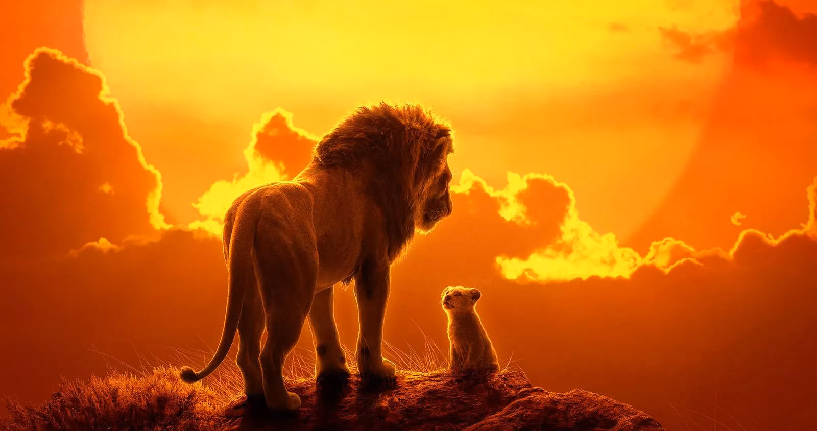 disneys-live-action-remakes-10-devastating-changes-that-ruined-the-magic-image-0